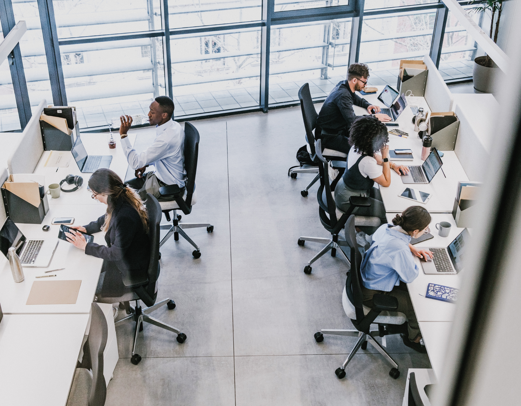 Enterprise Software Development Outsourcing